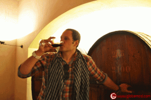 Pete Tryon adventure  travel drinking wine Santiago Globemad 