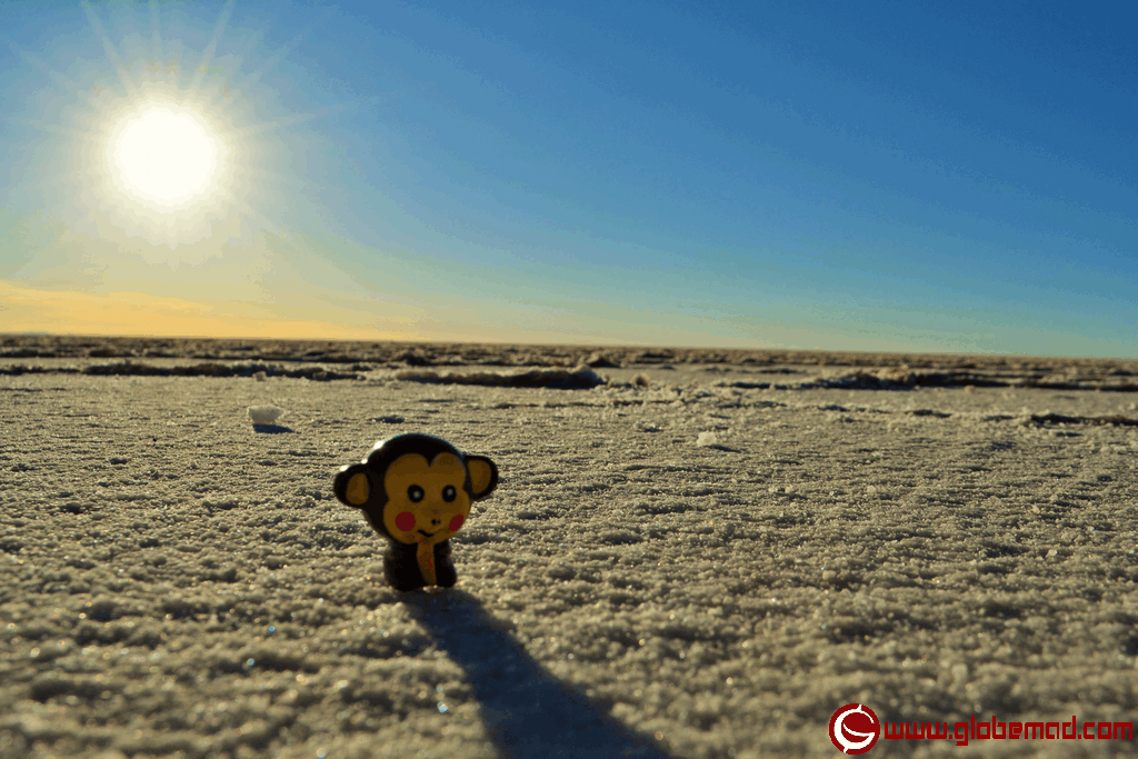Tryon monkey Adventure travel inspiration Globemad Salt flats Bolvia