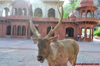 Alwar, An unexpected day in mysterious India