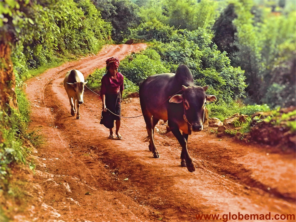 Kalaw to Inle lake or Visa Versa in Reverse