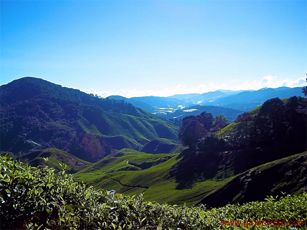 Cameron highlands this view overlooking the BOH tea plantation