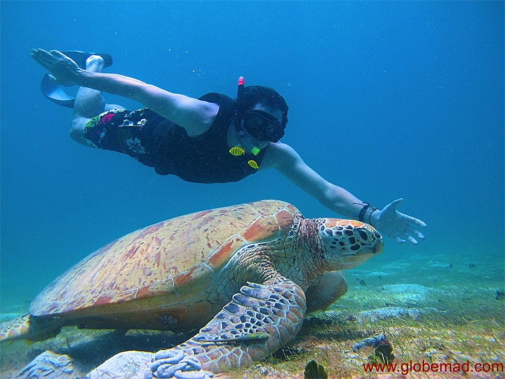 Snorkelling in the Perhentian islands
