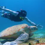 Snorkelling in the Perhentian islands