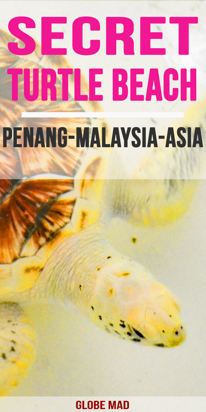Secrete turtle beach in Penang Ideas for travelling Malaysia. Backpackers and Travellers guides, tips and inspiration by Globemad Blog