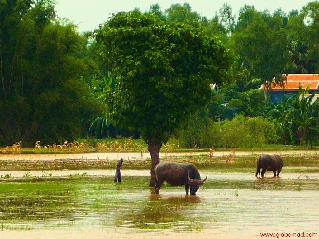 Cambodia travel inspiration photographs ideas, beautiful Cambodia photography backpacking travelling mekong river trip