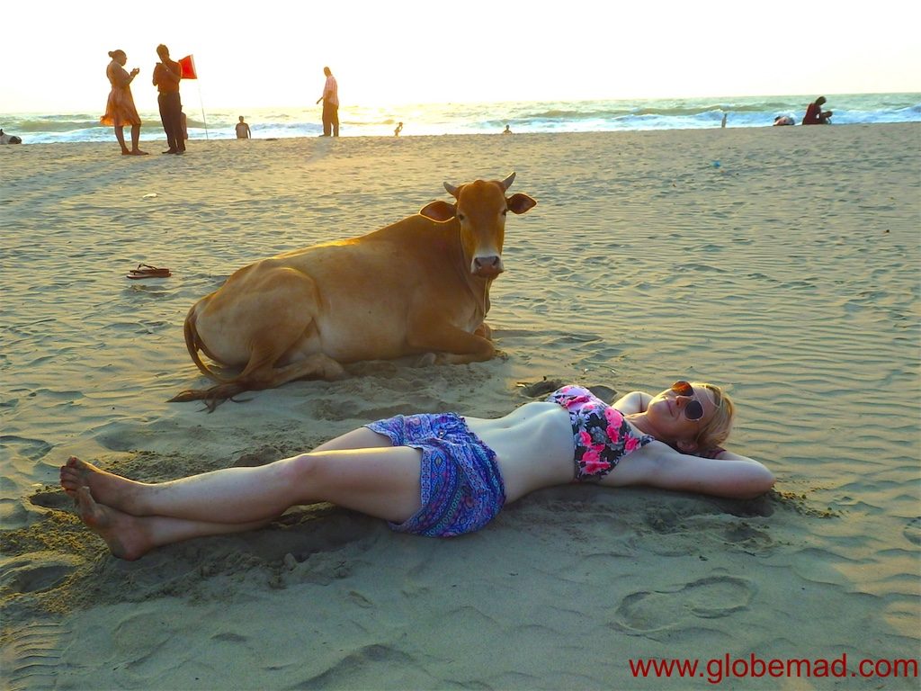Renting a bike in Goa everything you need to know