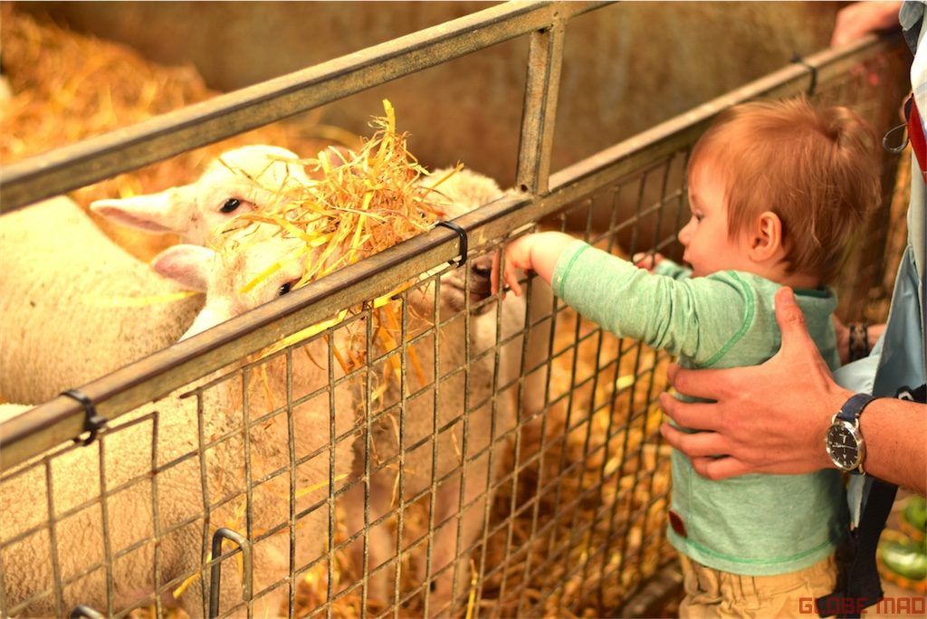 chatsworth house farm uk staycation