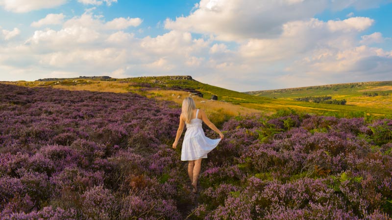 Eco friendly uk staycation ideas england scotland purple heather